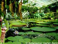 Botanischer Garten