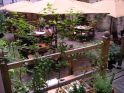 hotel-riehmers3